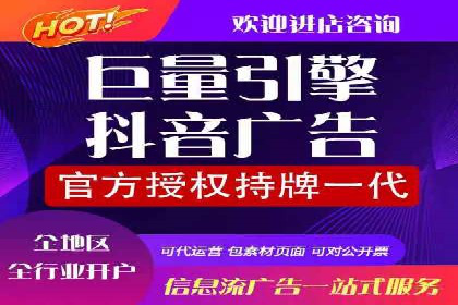 案例分析：信息流广告投放转化率提升策略